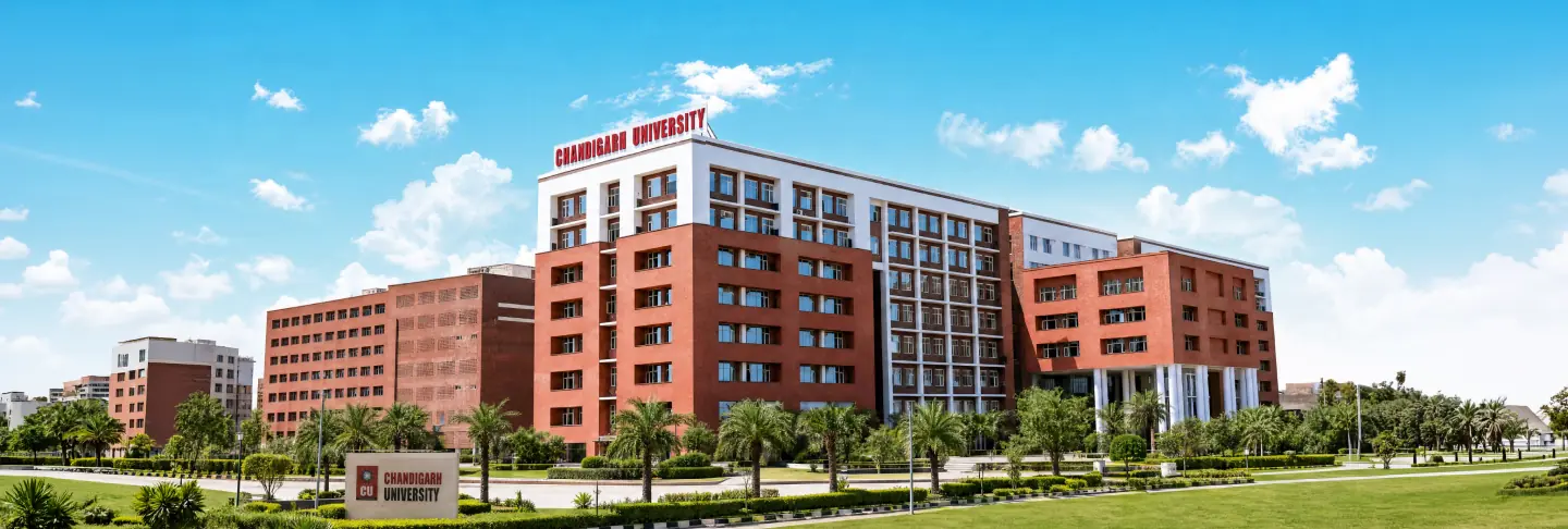 Chandigarh University Online